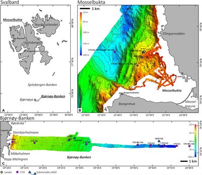 Epibenthos Dynamics and Environmental Fluctuations in Two Contrasting Polar Carbonate Factories (Mosselbukta and Bjørnøy-Banken, Svalbard)